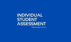 Individual Assessment